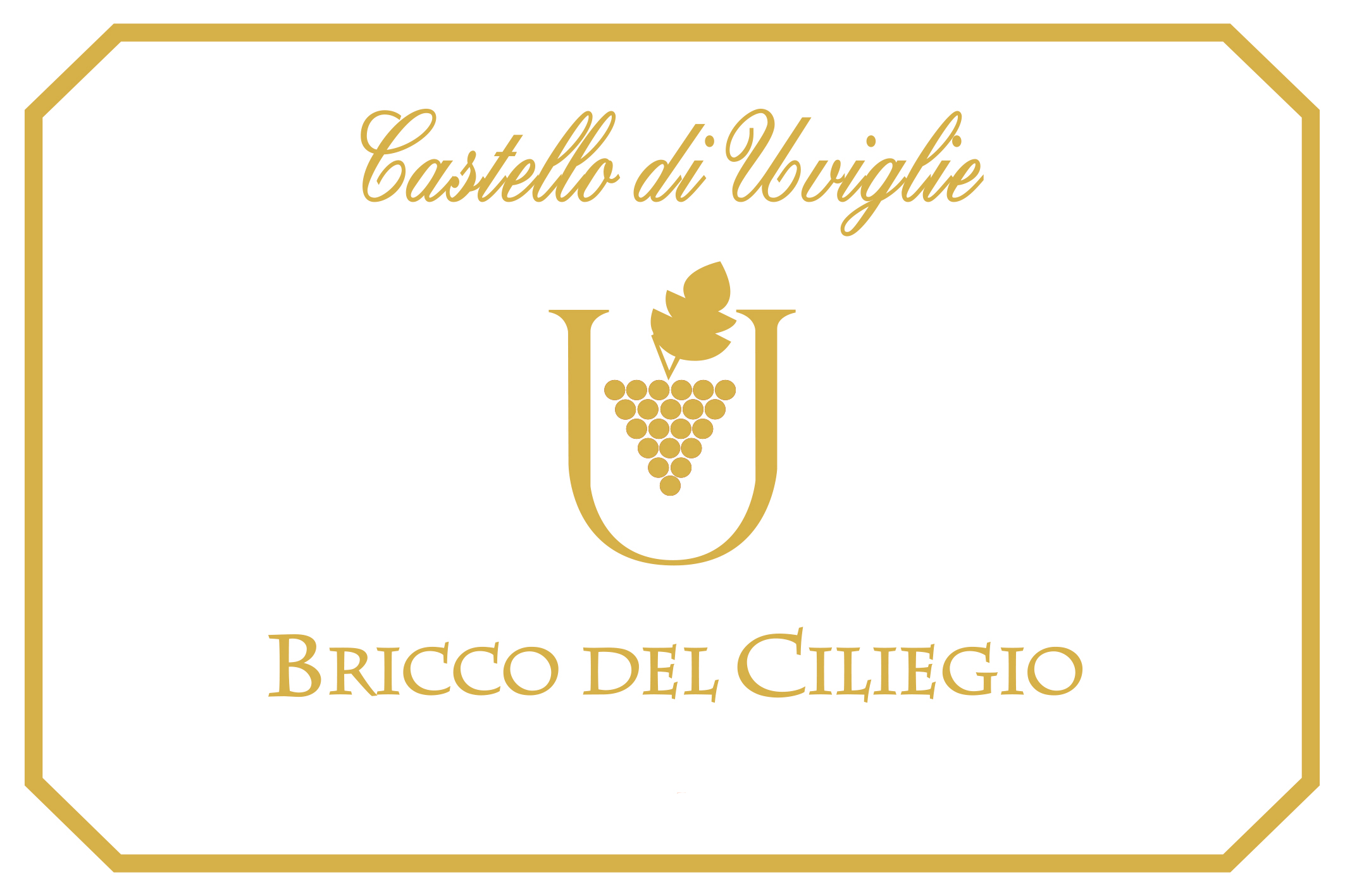 Bricco del Ciliegio 2014