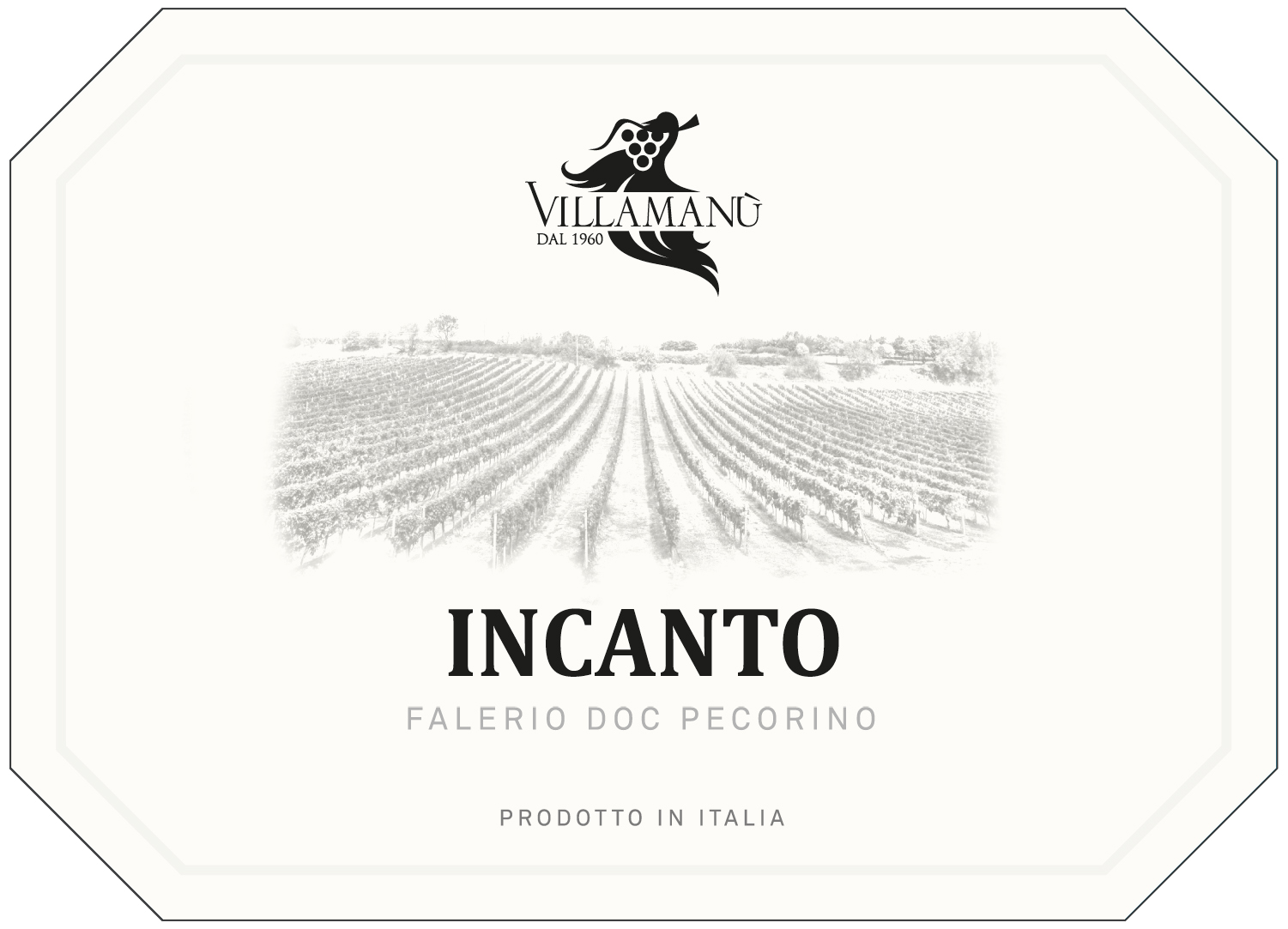 Incanto Falerio Doc Pecorino 2021