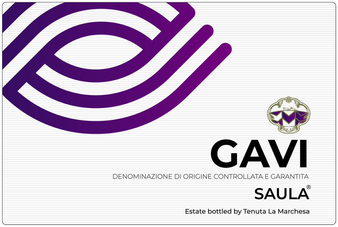 Saula Gavi Doc 2022