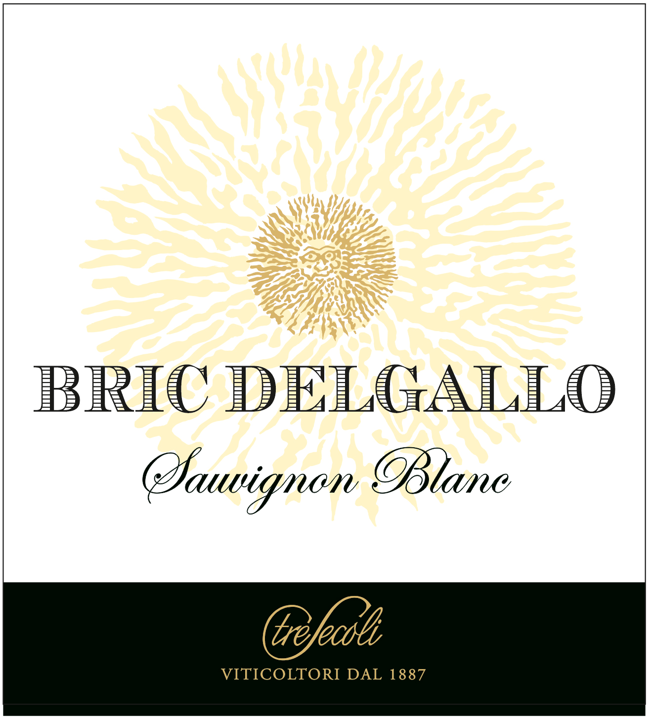 Bric del Gallo Sauvignon Blanc 2022