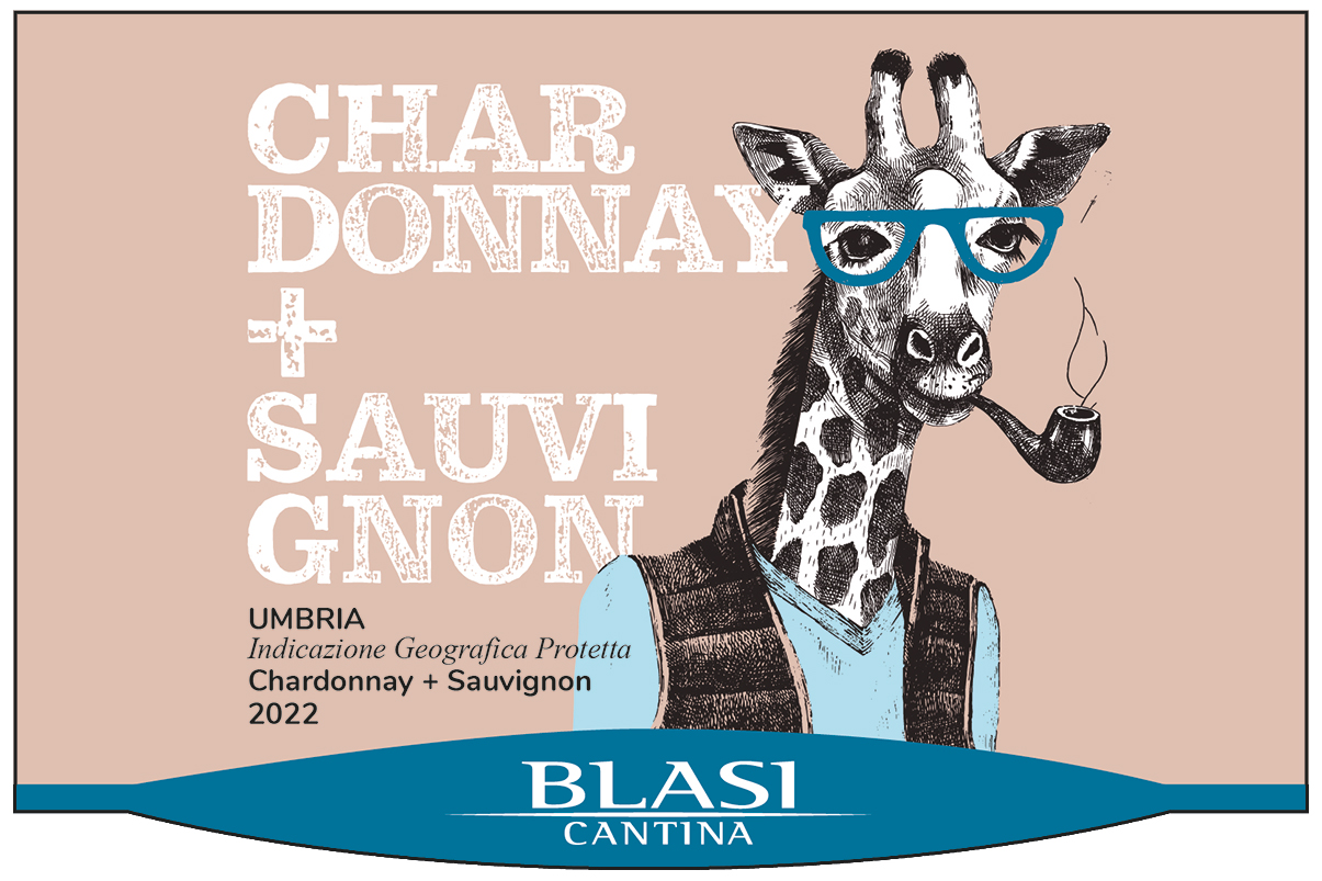 Chardonnay + Sauvignon 2023