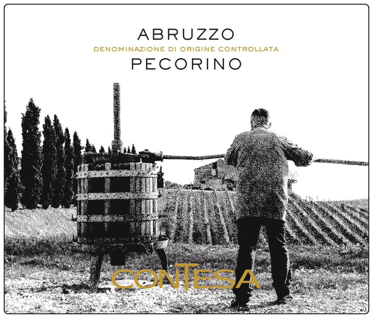 Pecorino Abruzzo Doc 2023