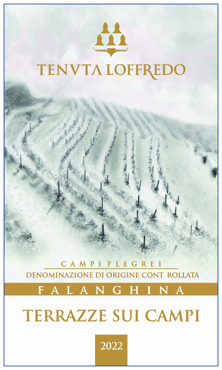 Terrazze Sui Campi Falanghina 2023