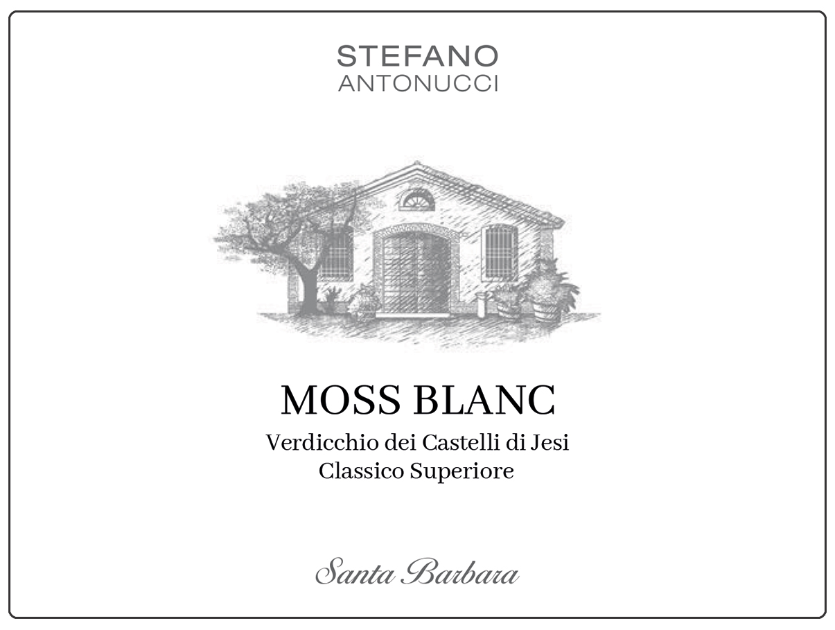 Moss Blanc Verdicchio Classico Superiore 2023