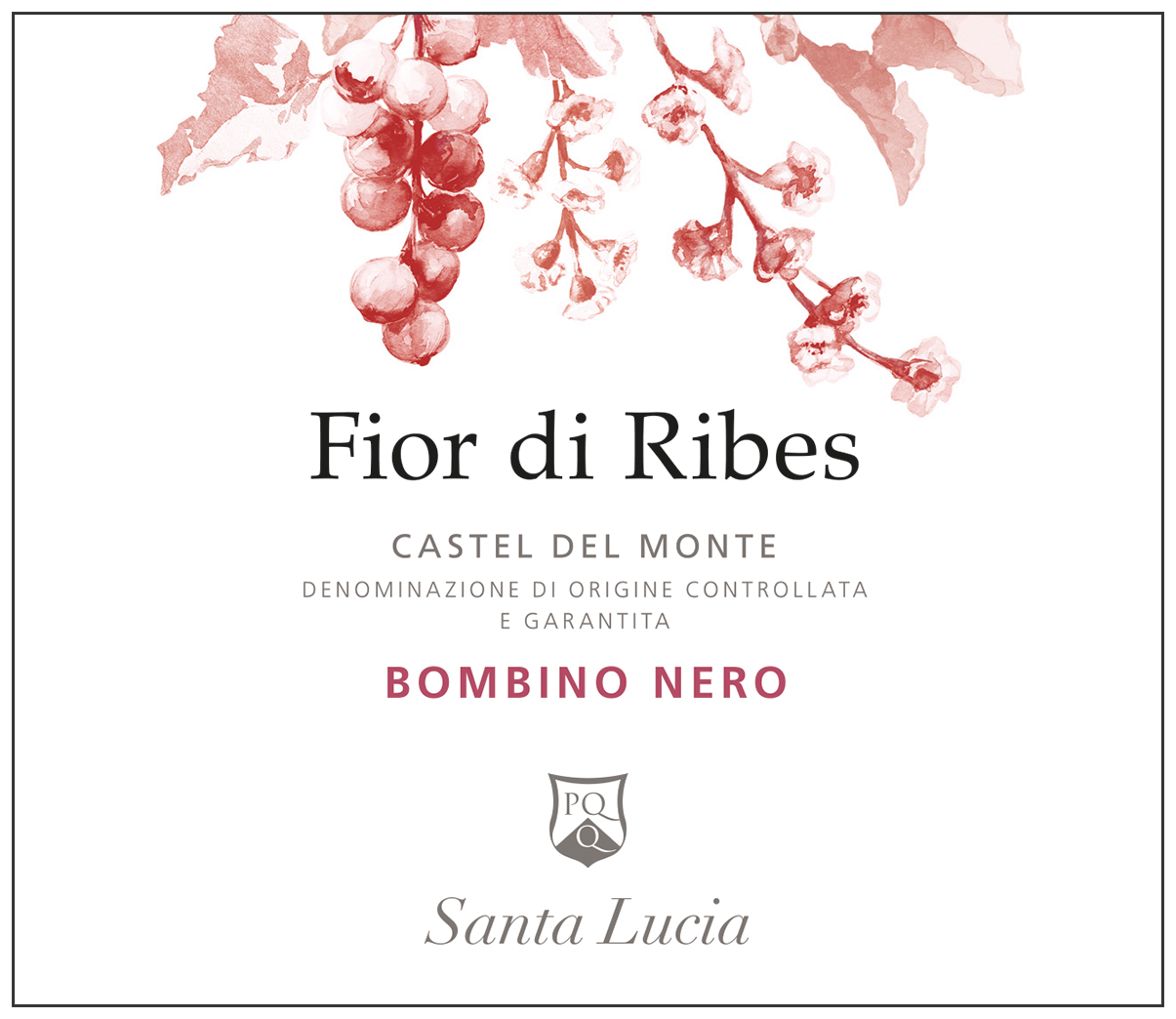 Fior di Ribes Bombino Nero 2024