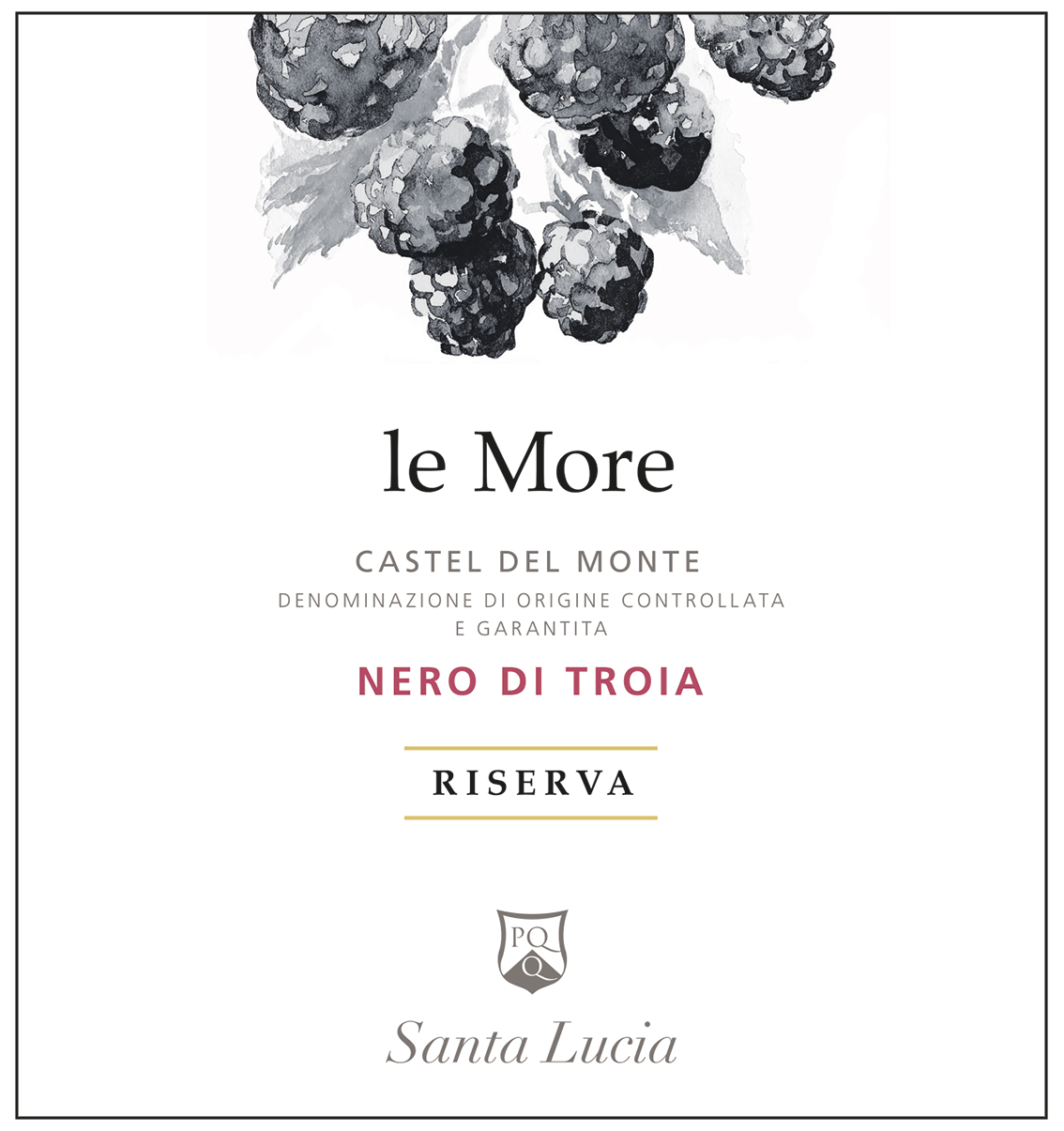 Le More Nero di Troia Riserva 2022