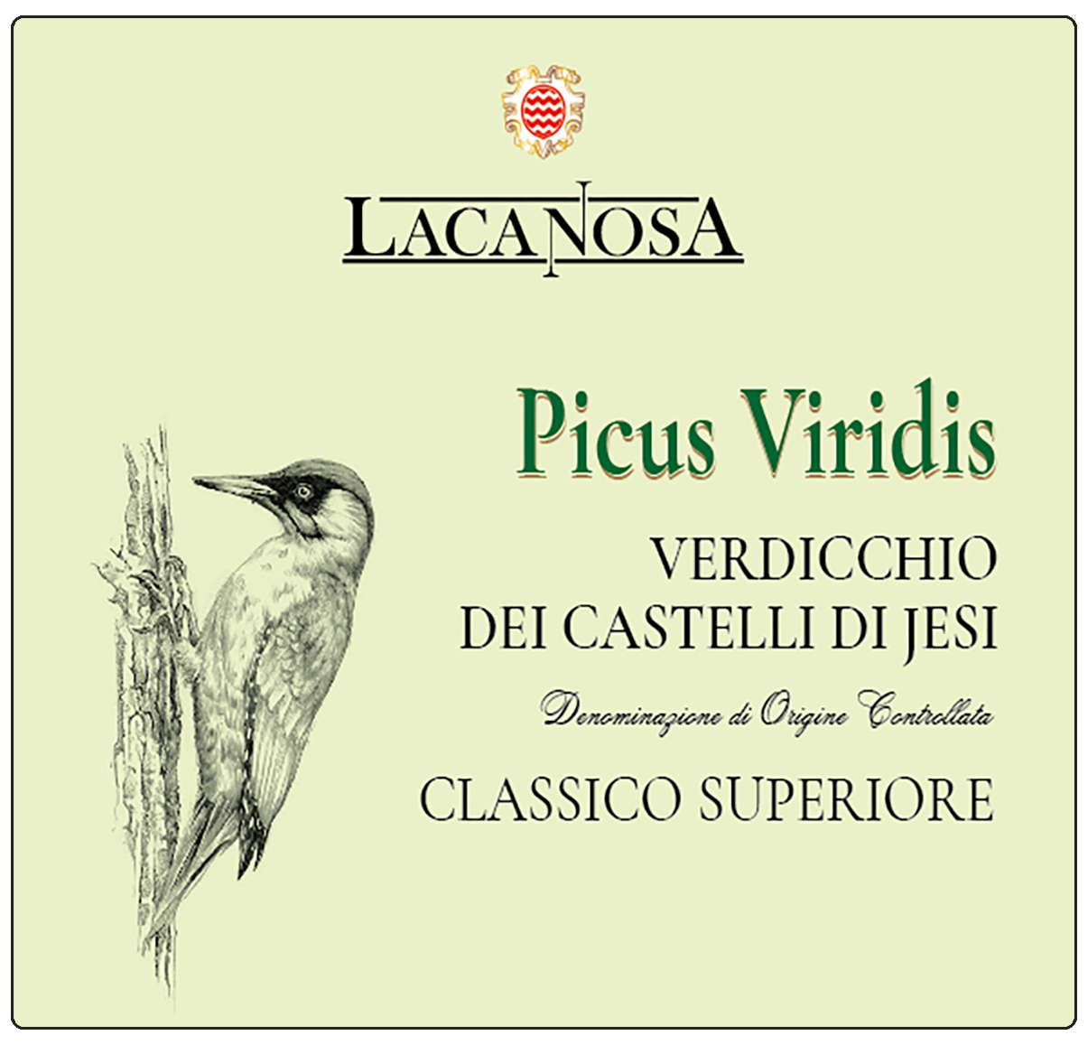 Picus Viridis Verdicchio Doc Classico Superiore 2024