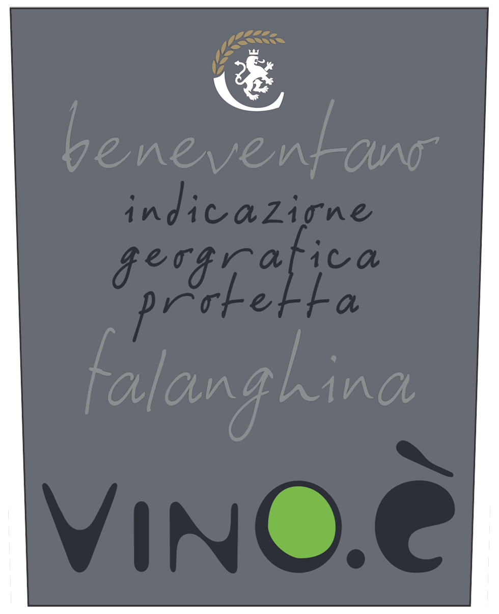 Beneventano Falanghina Vino.è 2024