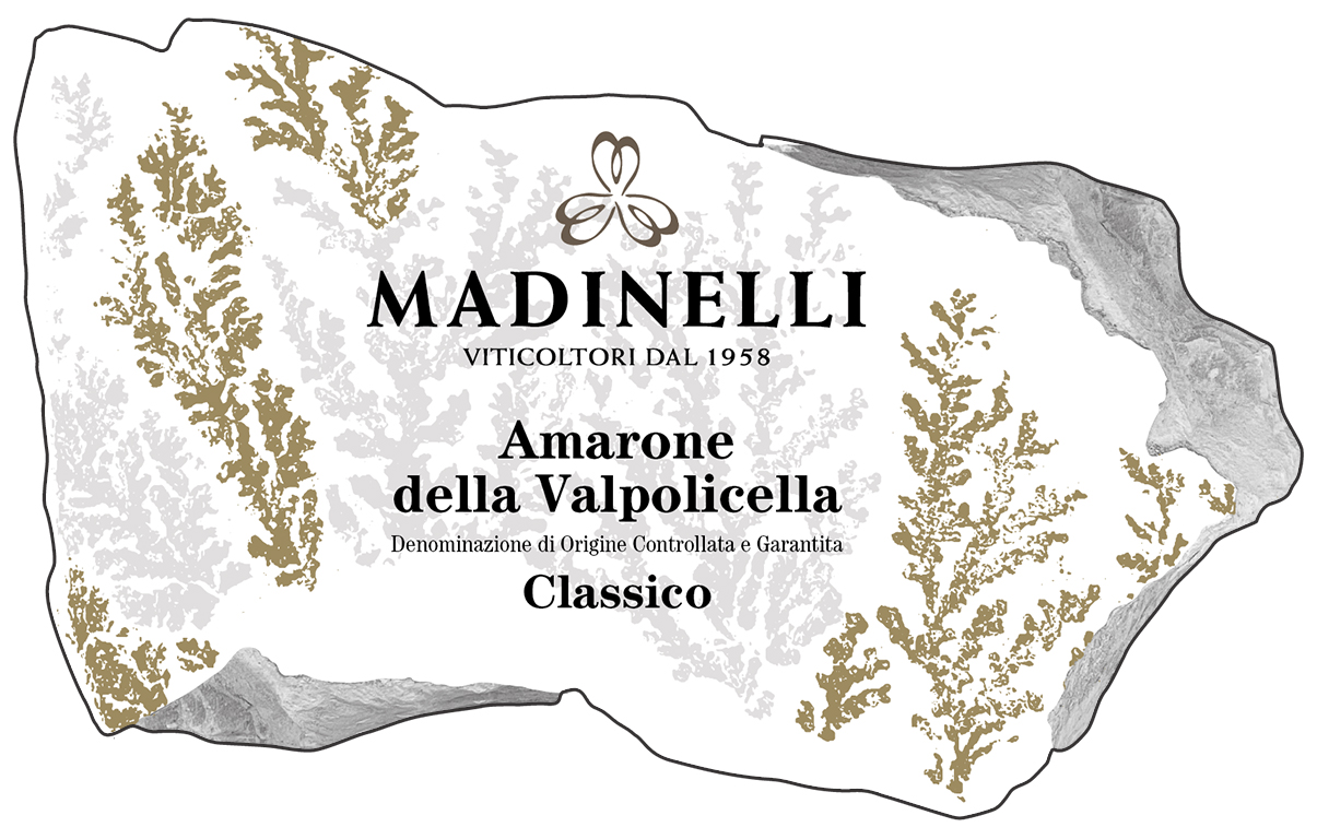 Amarone della Valpolicella Classico Docg Felci 2019