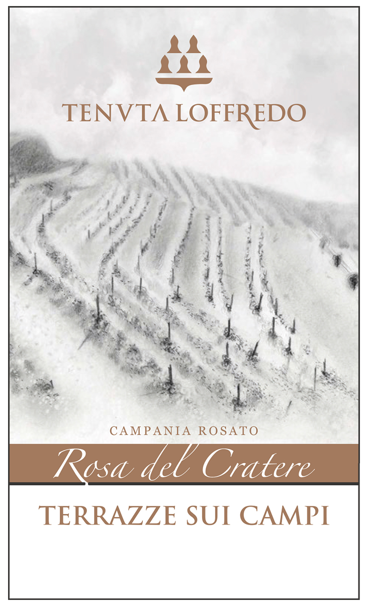 Terrazze Sui Campi Rosato 2024