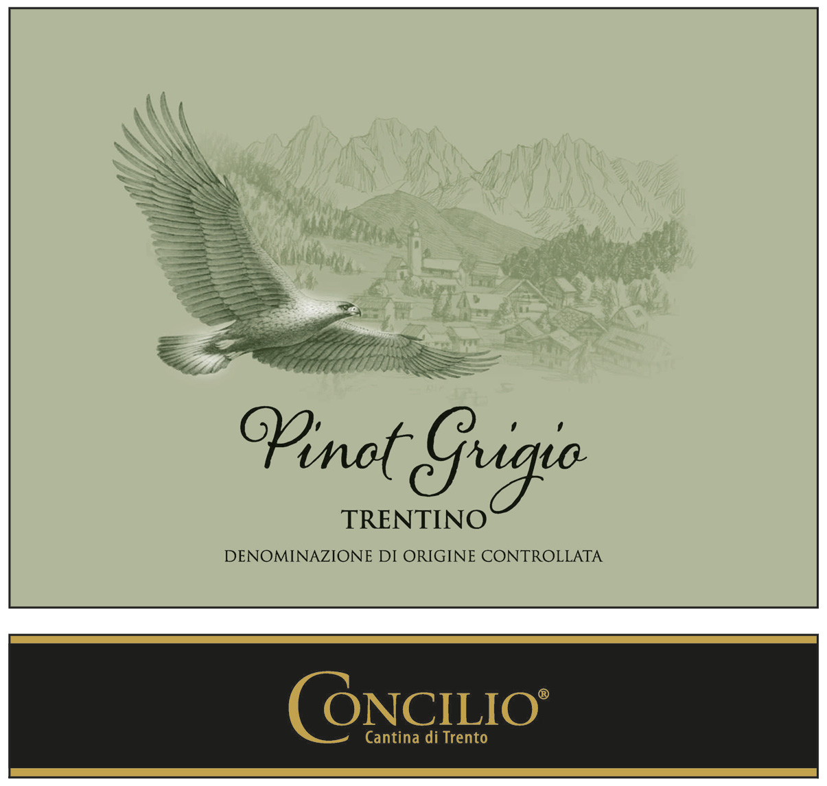 Concilio Pinot Grigio 2025