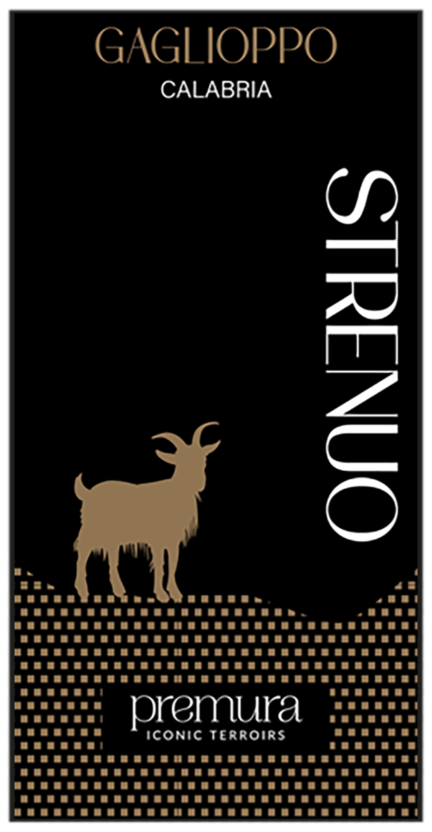 Strenuo 2024
