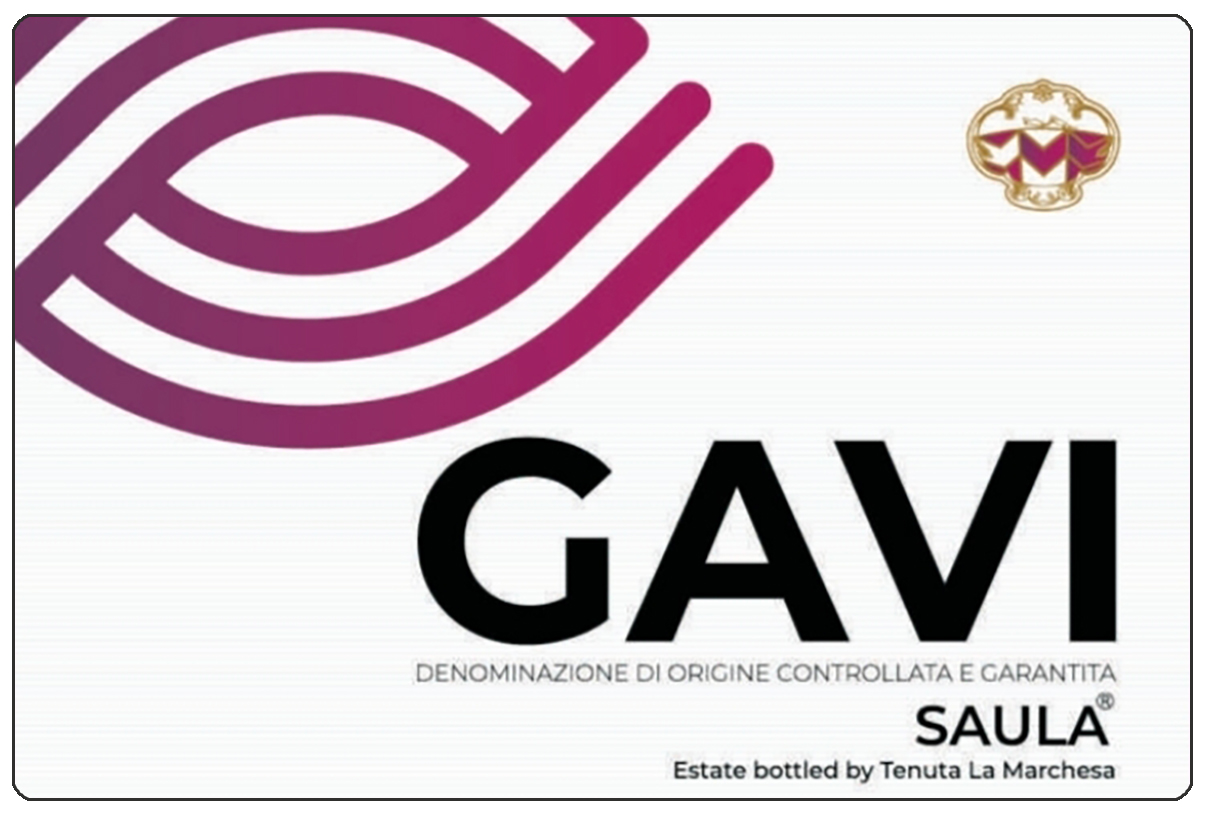 Saula Gavi Carta Bianca 2025