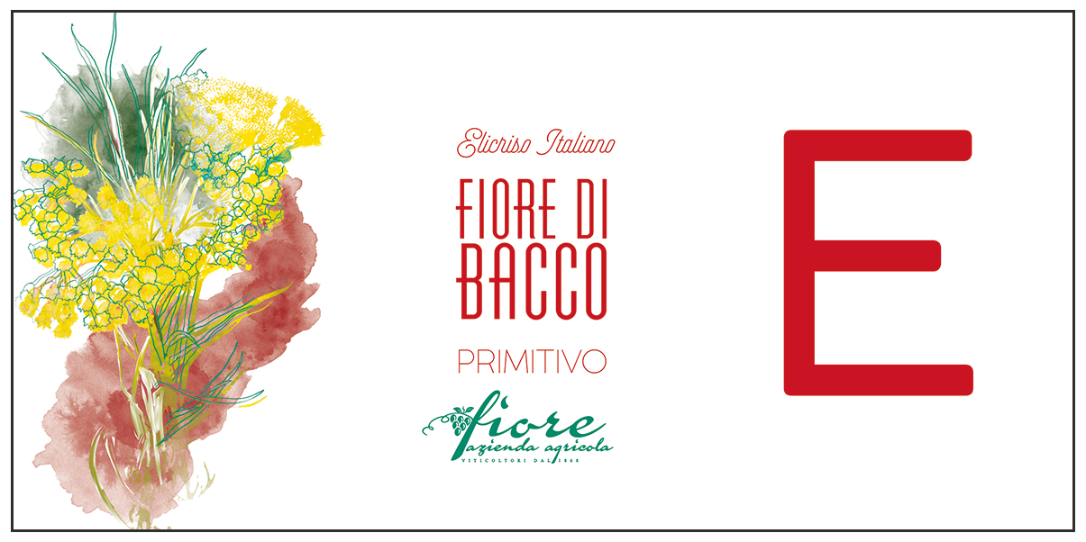 Fiore Di Bacco Primitivo 2022