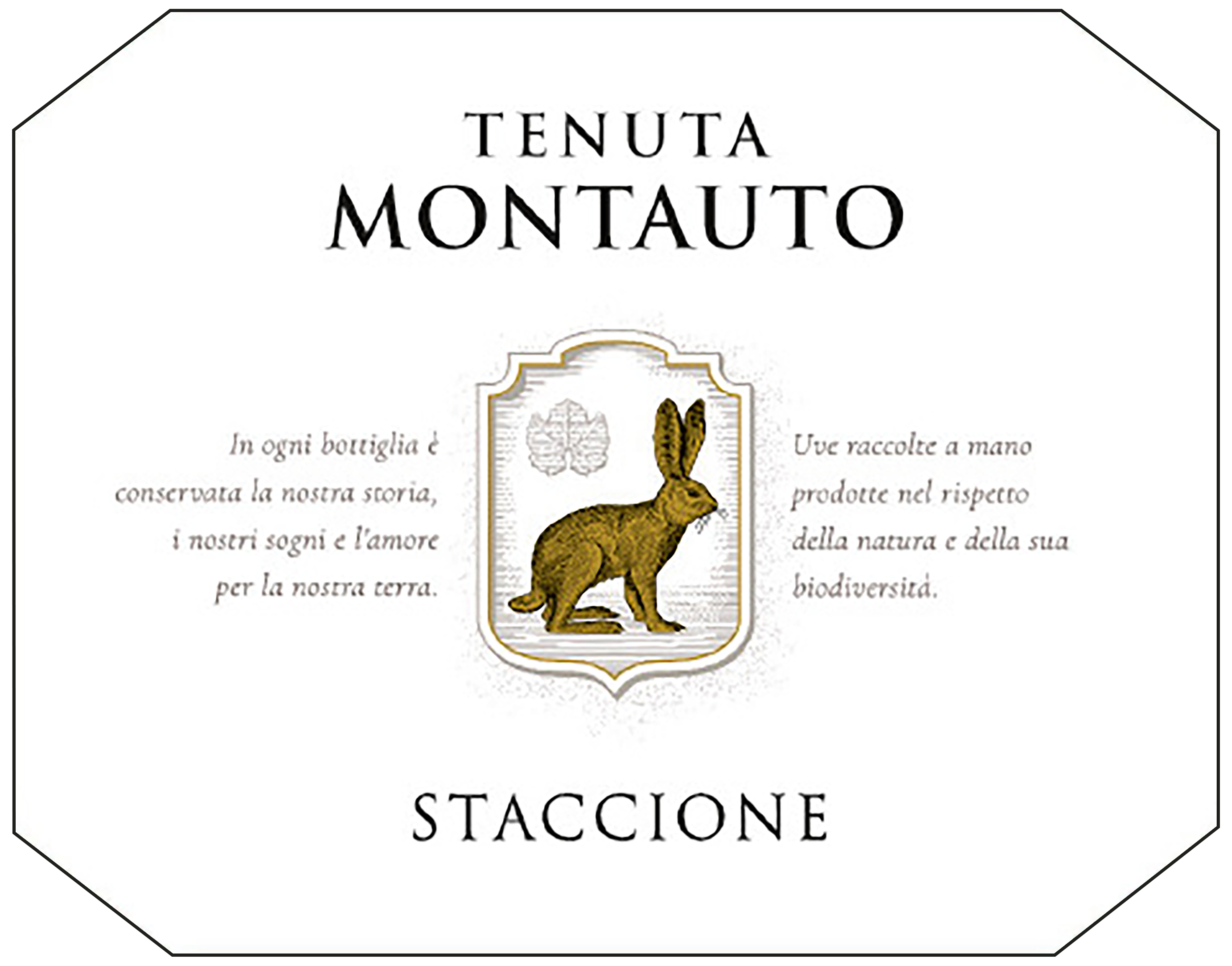 Staccione Sangiovese Toscana Rosato 2025