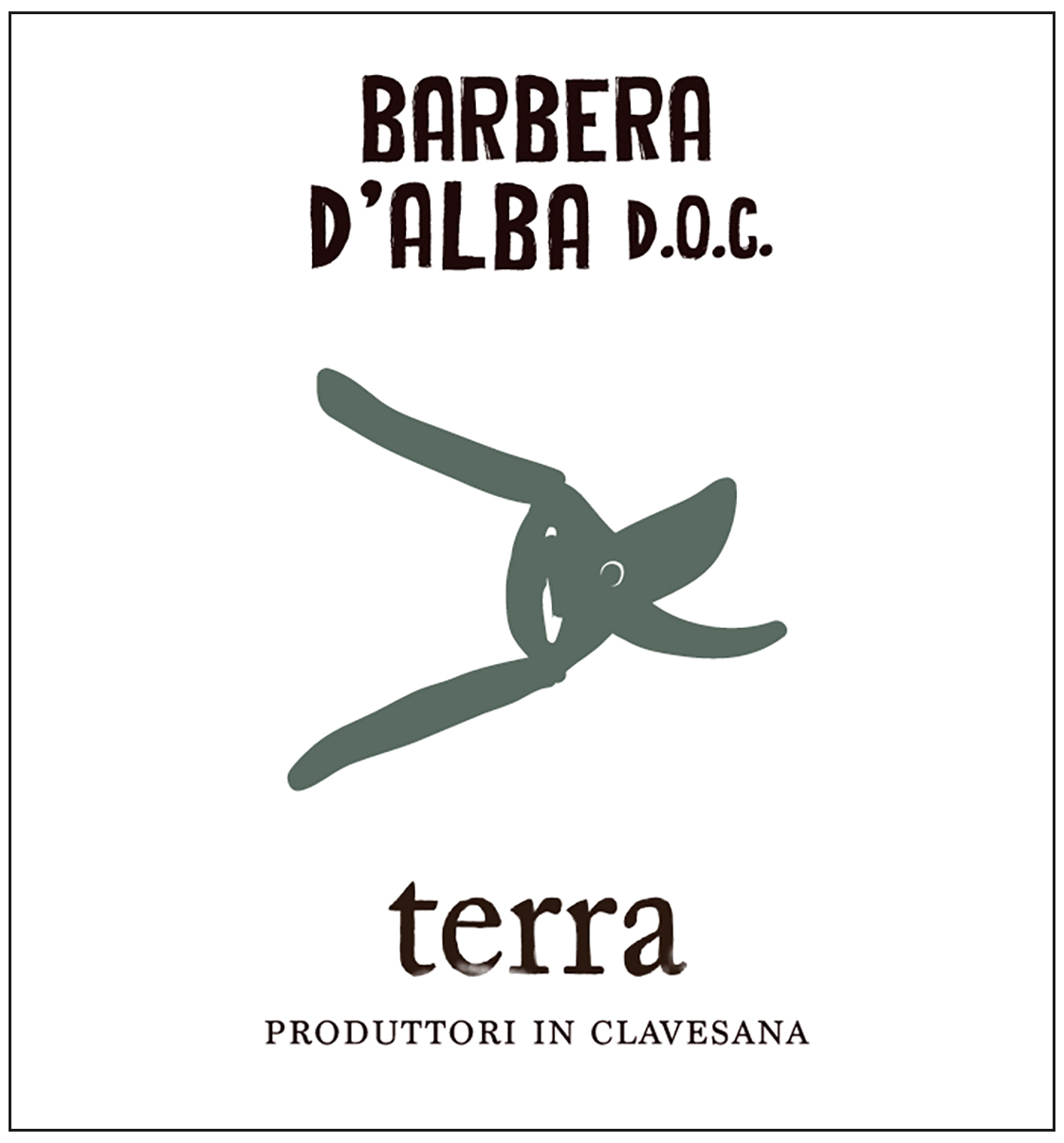Barbera D'Alba Doc Terra 2024