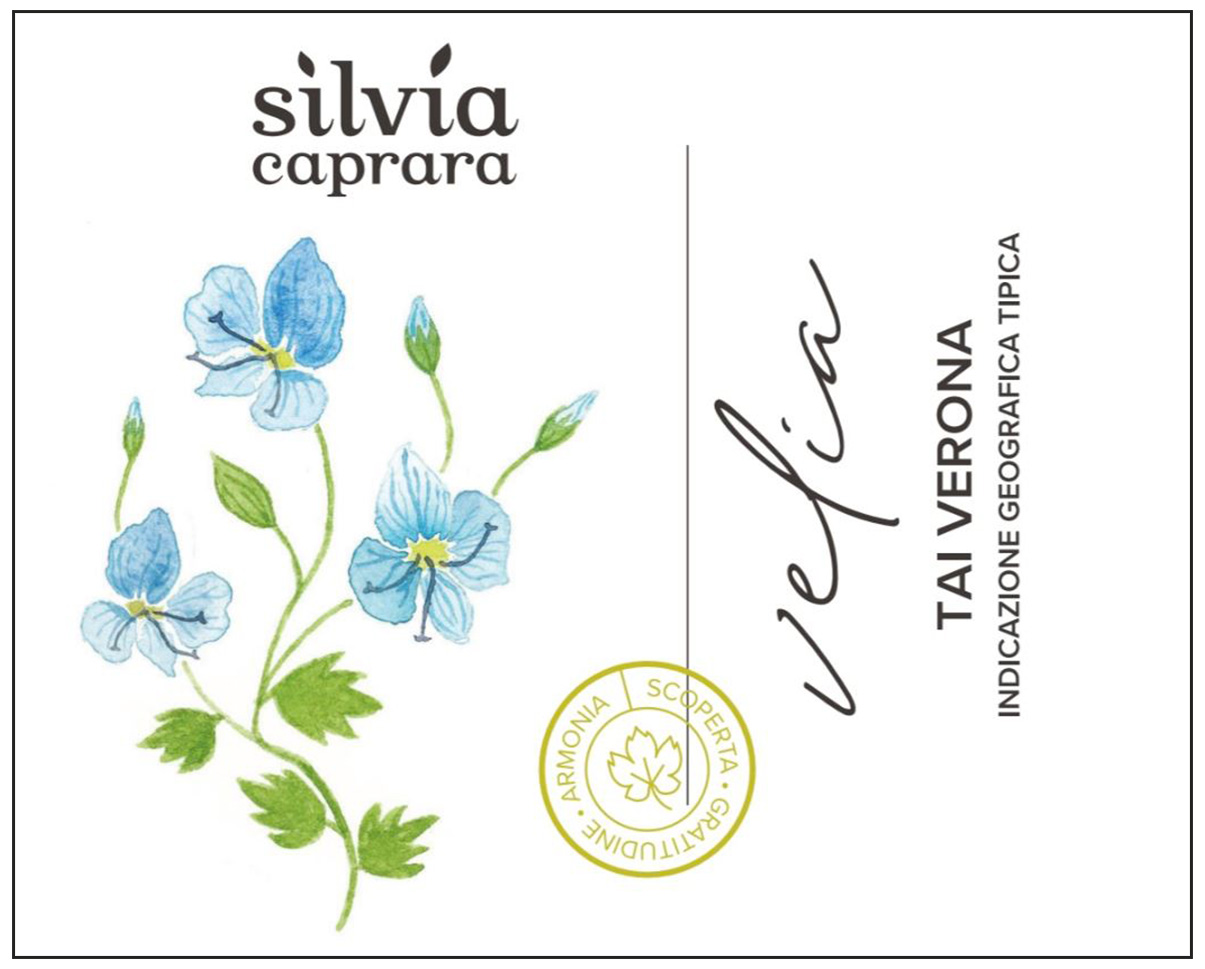 Silvia Caprara Velia Tai Verona 2025