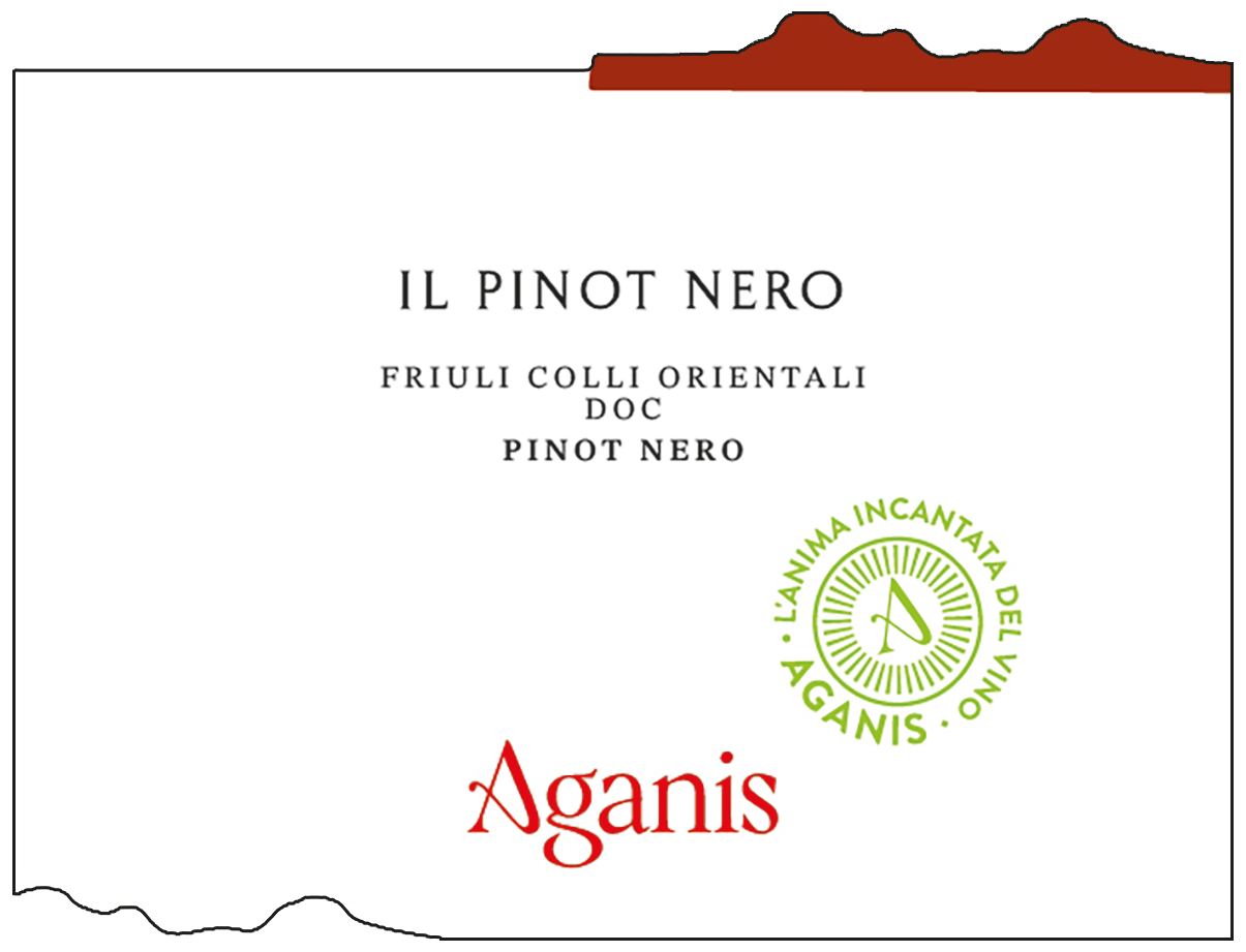Il Pinot Nero 2023