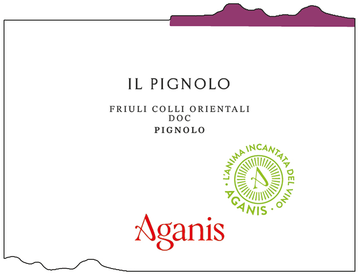 Il Pignolo 2023
