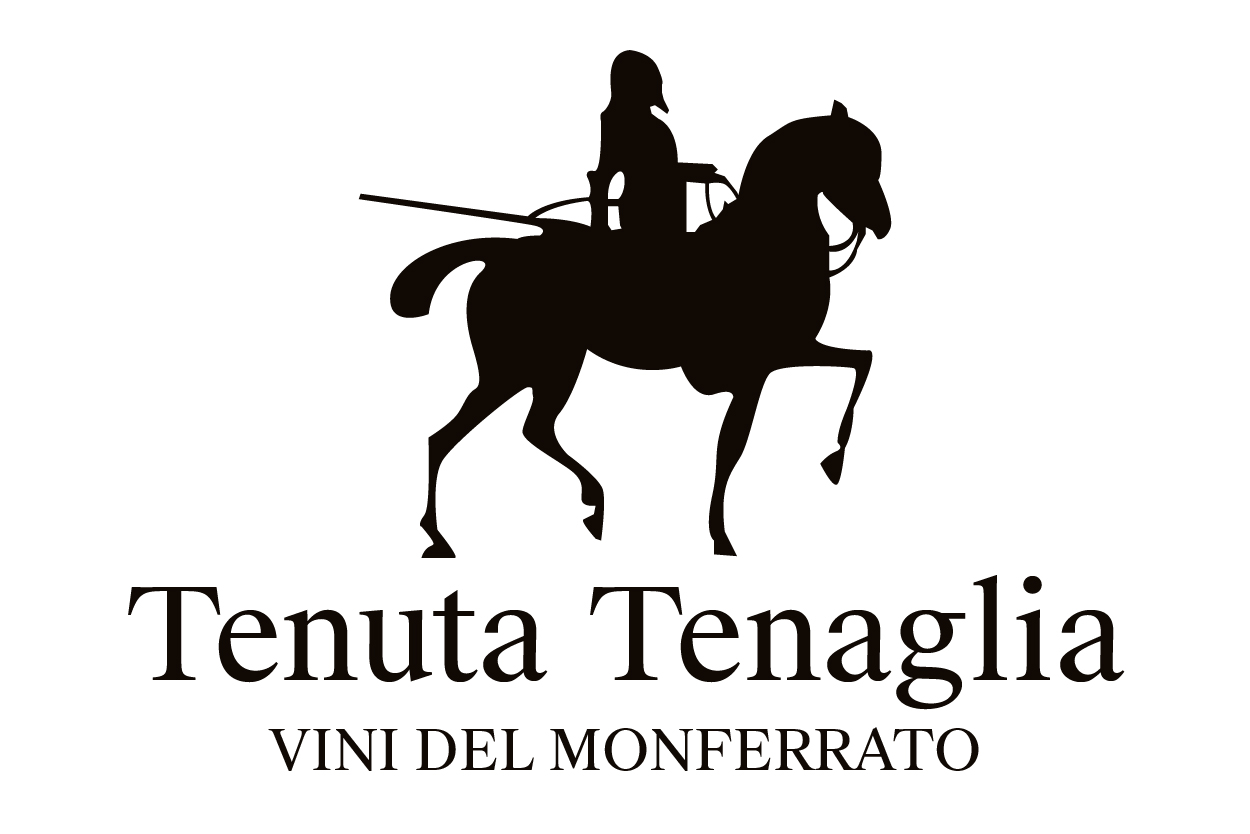 Barbera del Monferrato Doc 2009
