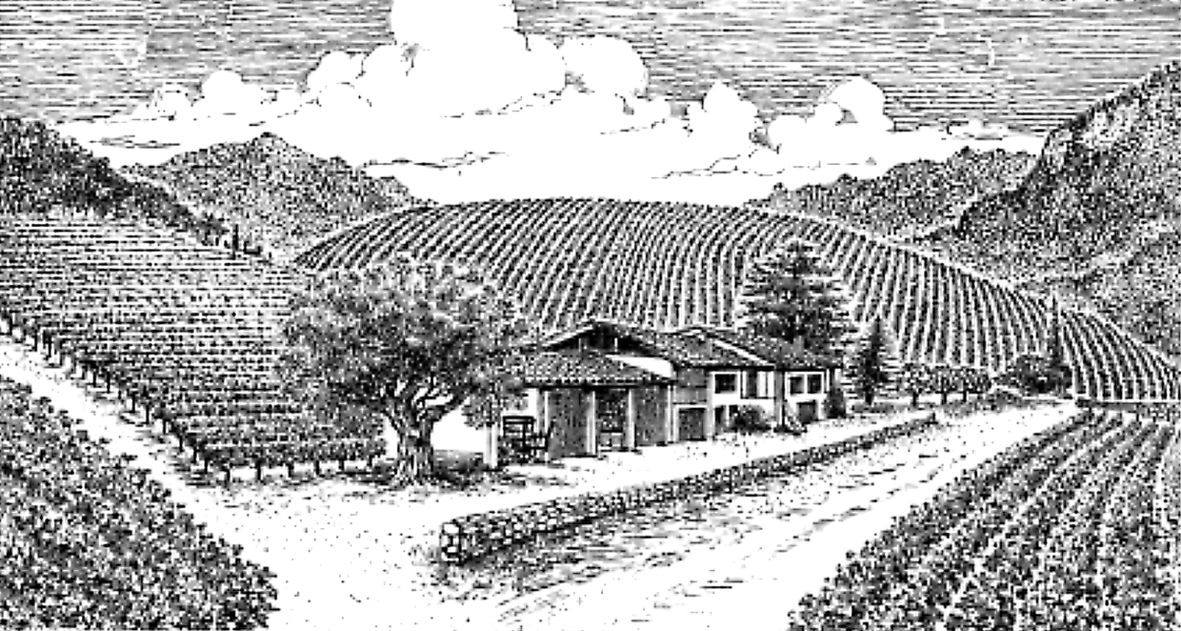 Pinot Bianco 1996