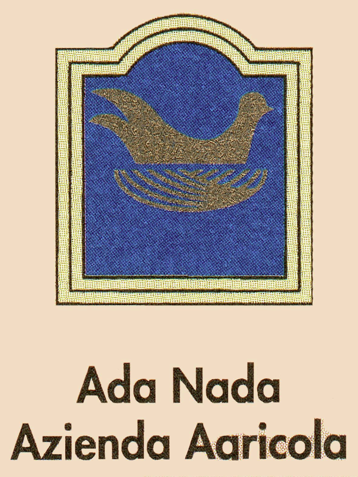 Neta  2015