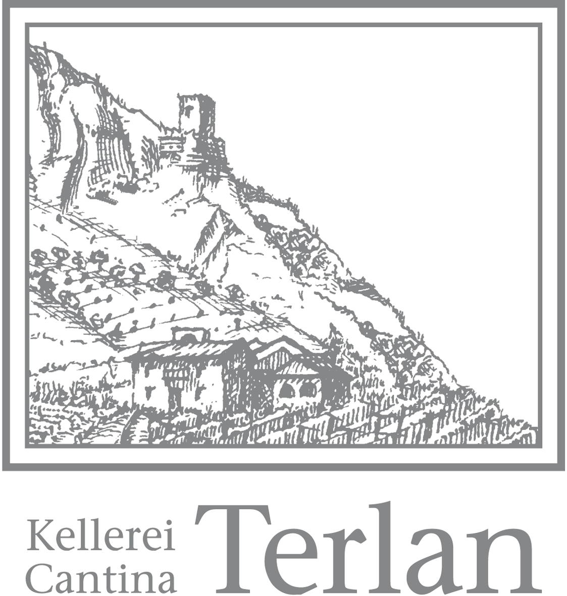 Classico Terlano 2016