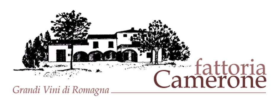 Sangiovese di Romagna Superiore Marafò 1996
