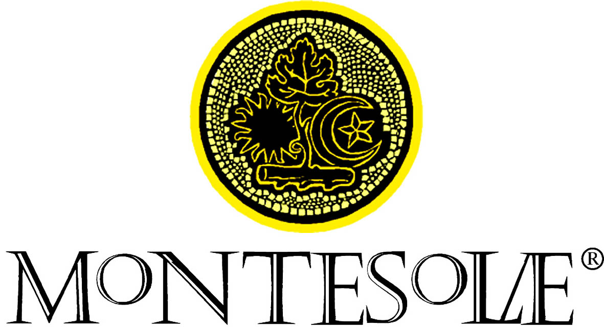 Montesolæ