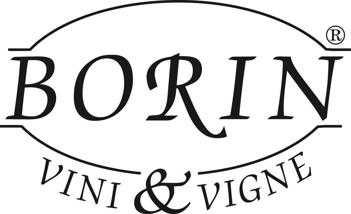 Borin Vini & Vigne