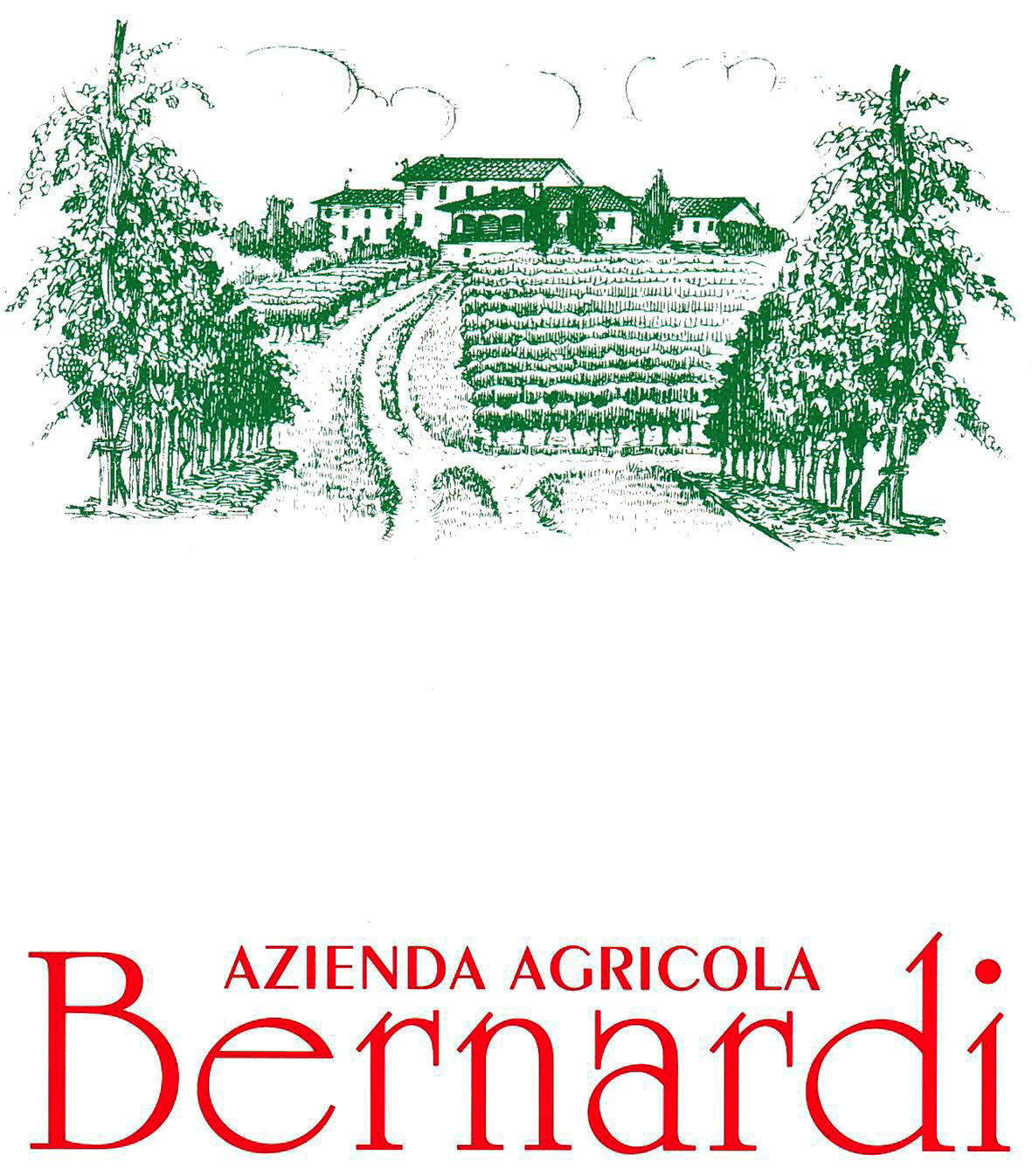 Pinot Bianco Colli Trevigiani