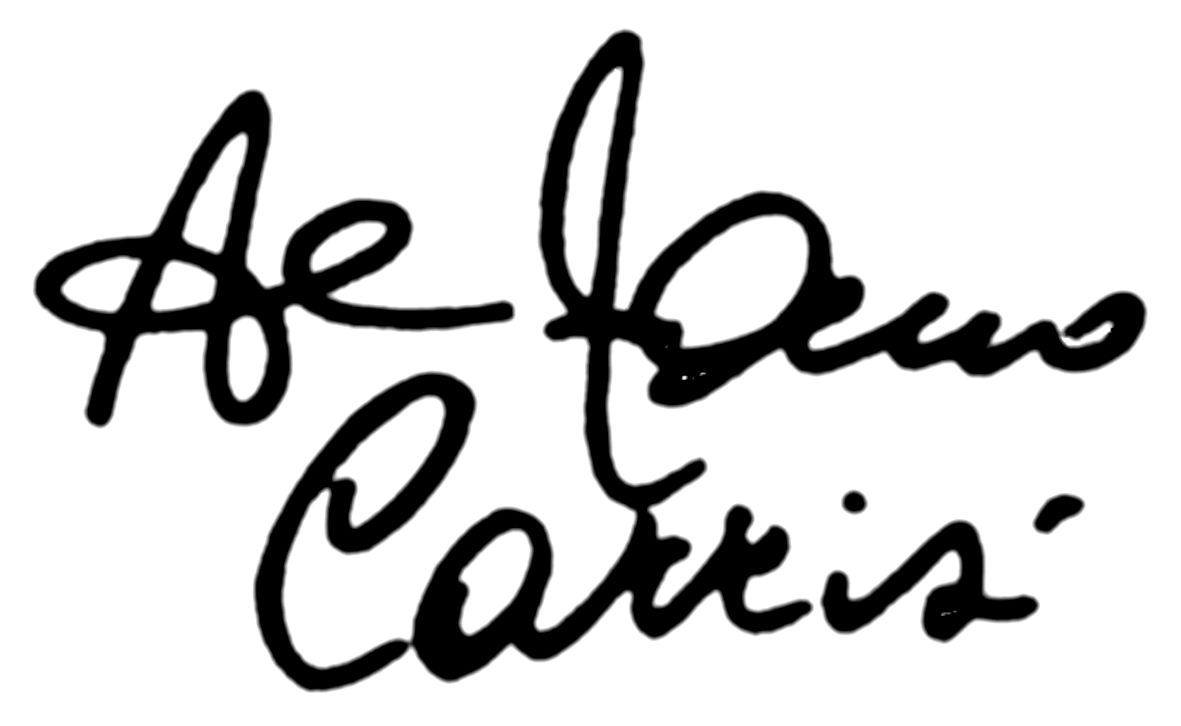 Felicità 1997
