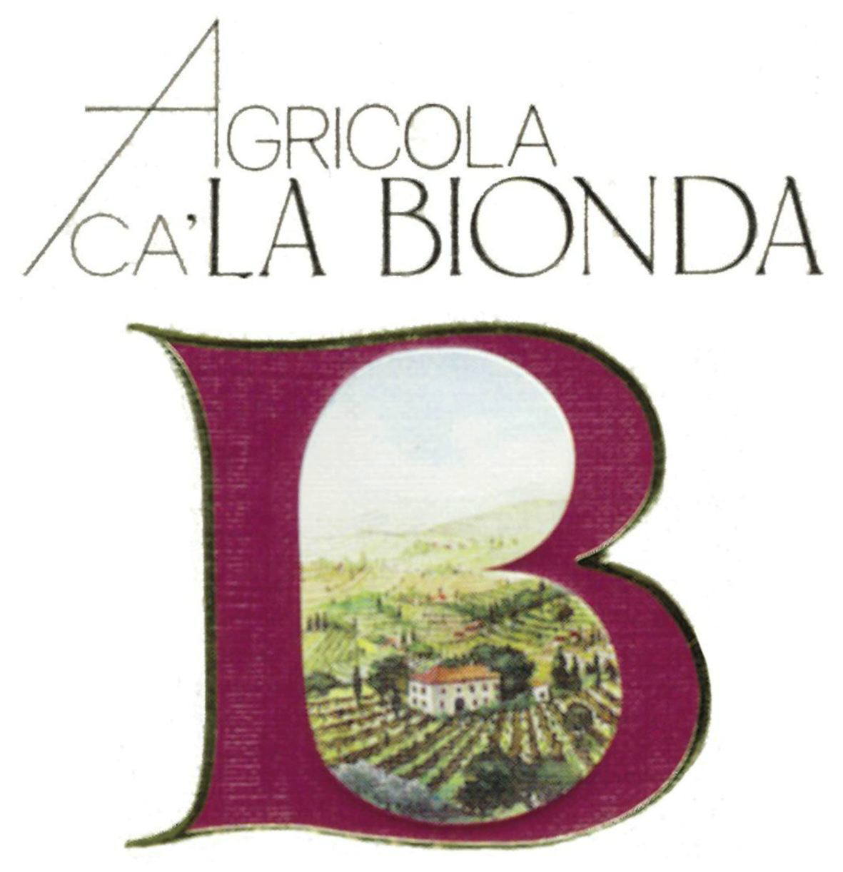 Valpolicella Superiore Ravazzòl 1996