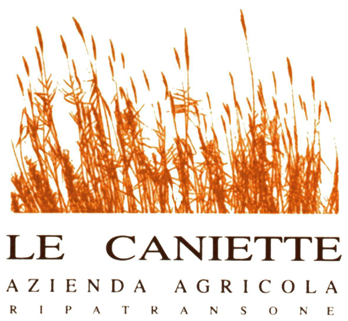 Rosso Bello 2007