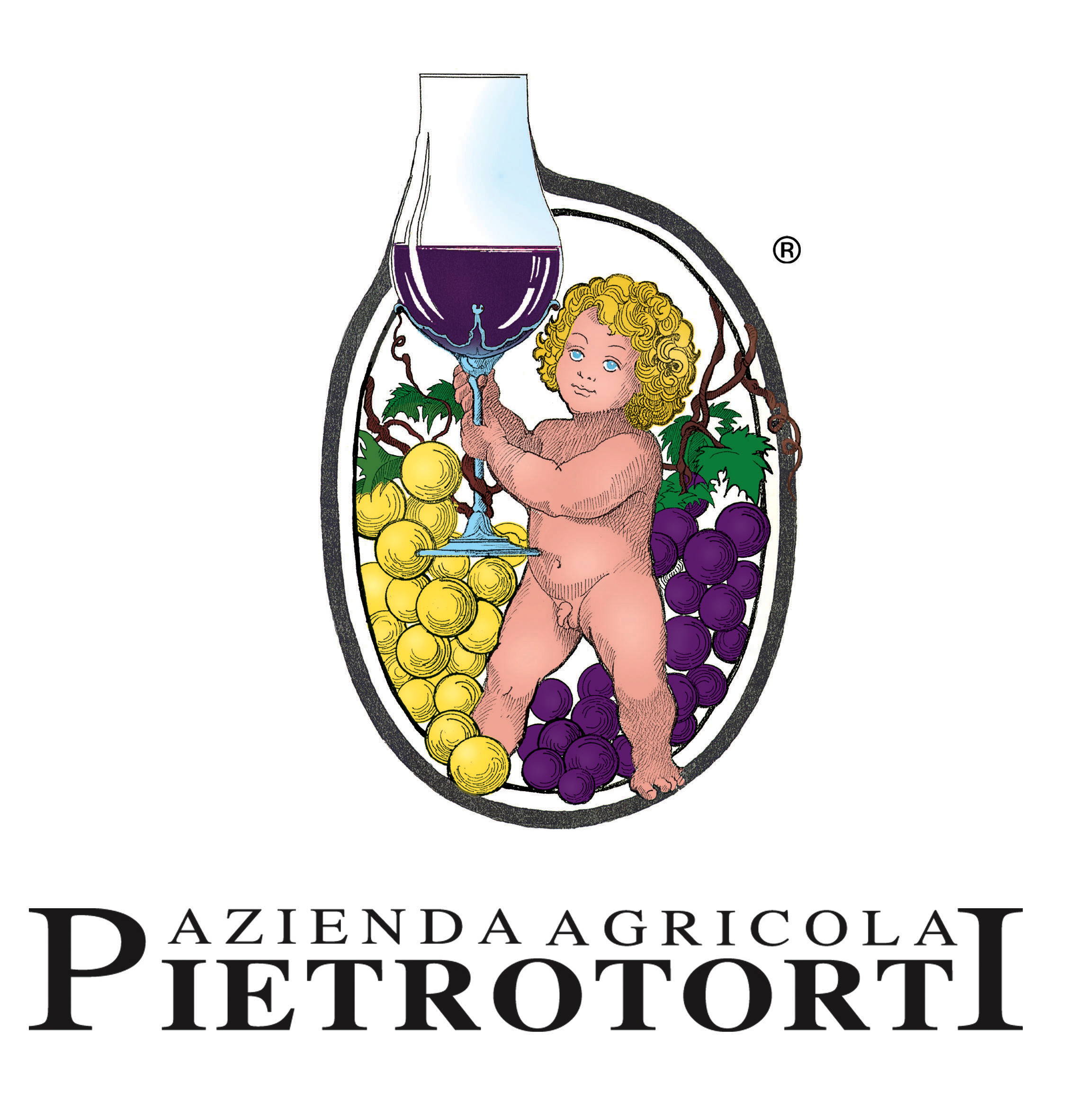 Verzello 2007