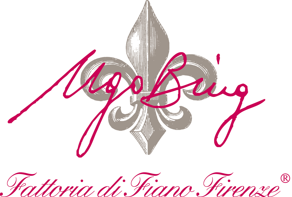 Chianti Colli Fiorentini Ugo Bing 2012