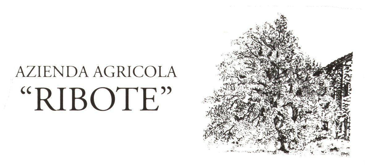 Langhe Barbera 2016