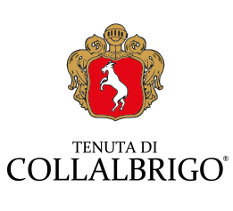 Pinot Grigio delle Venezie 2021