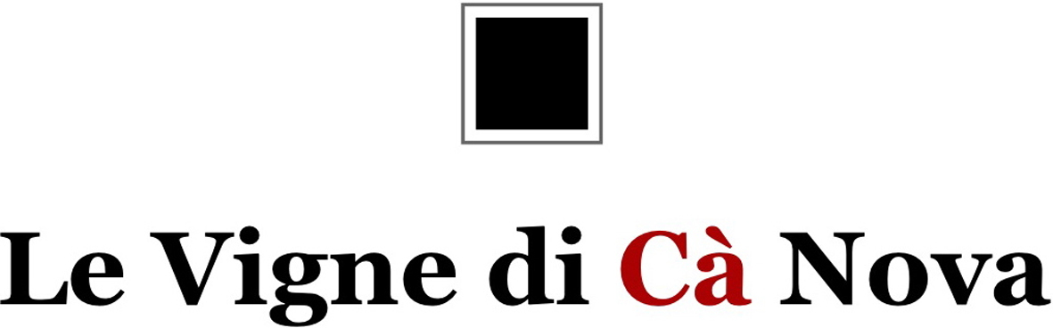Barbera d'Alba Doc Bric de Maschi 2008