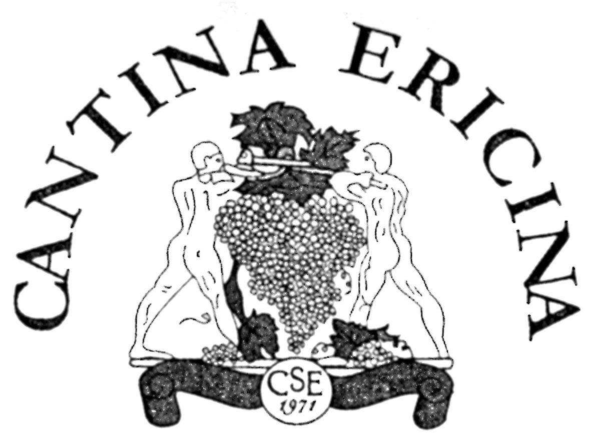 Grillo 2008