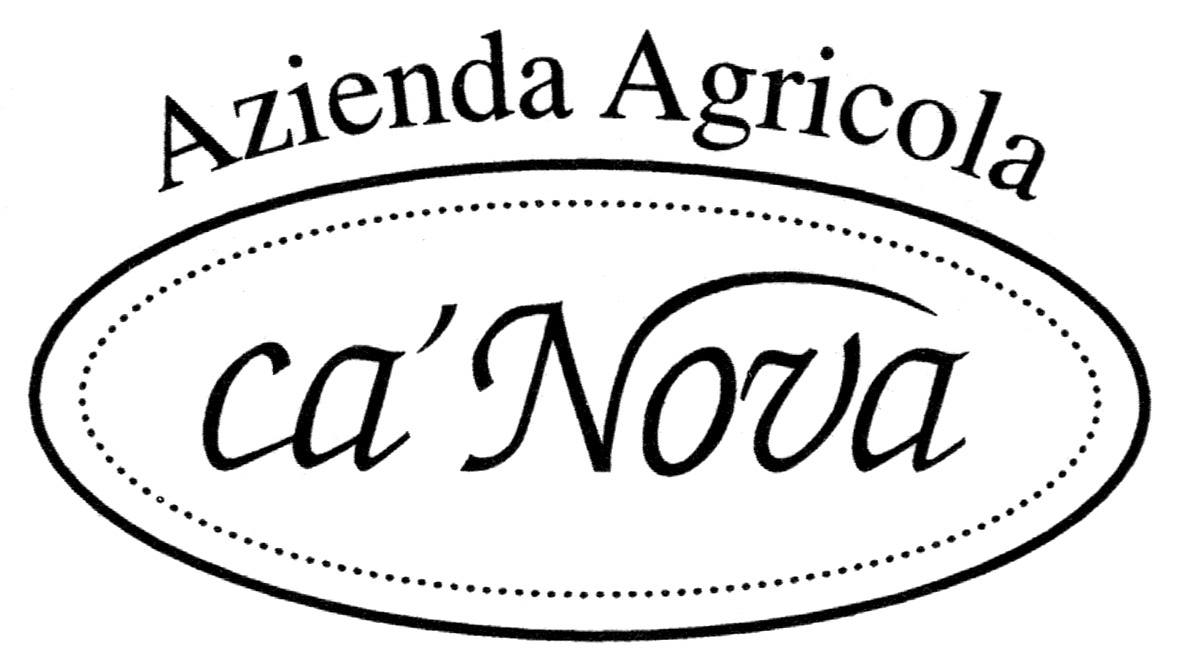 Aurora 2010