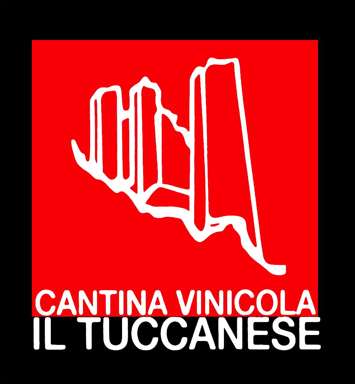 Magliano 2009