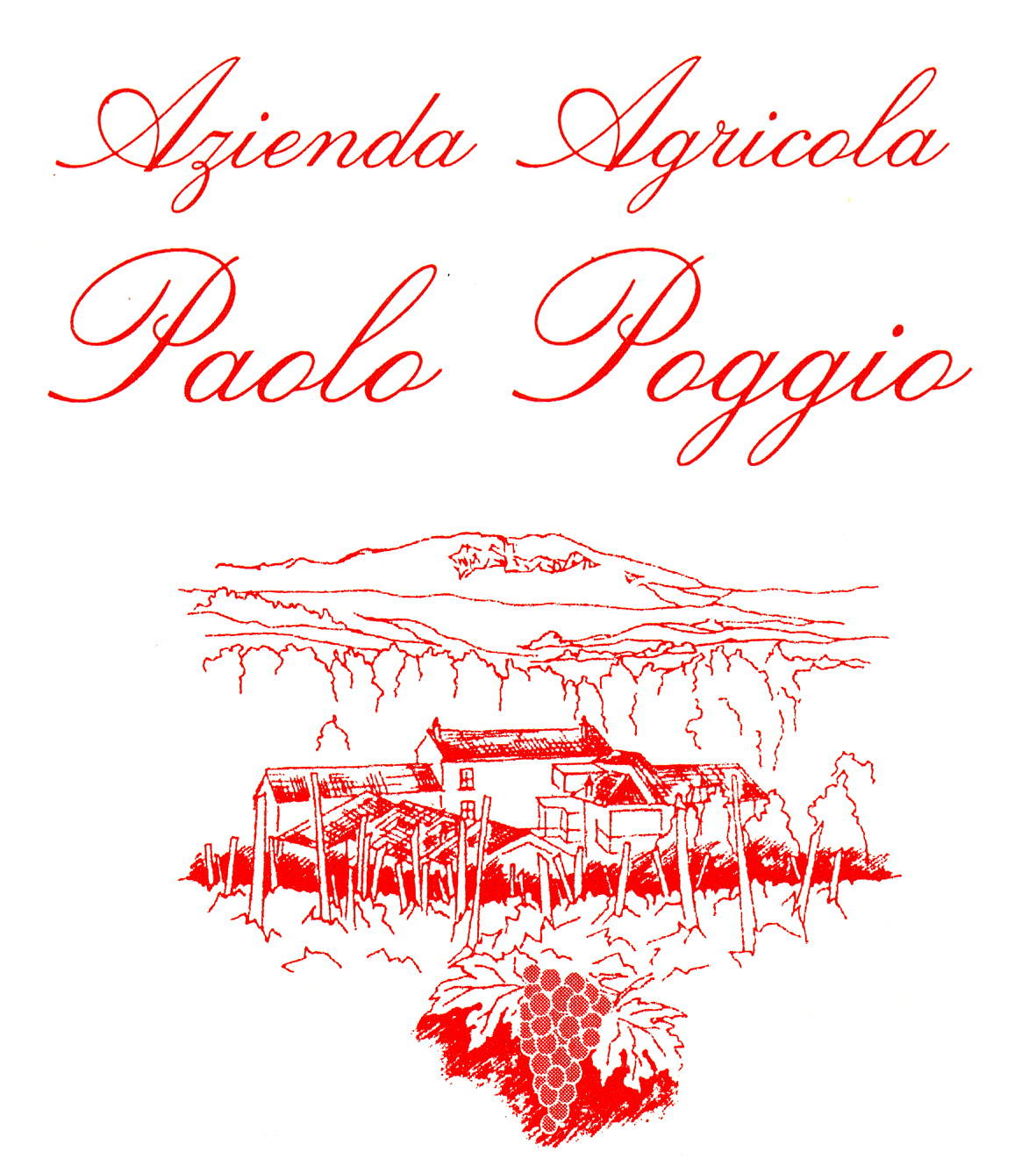 Cortese Campogallo 2009