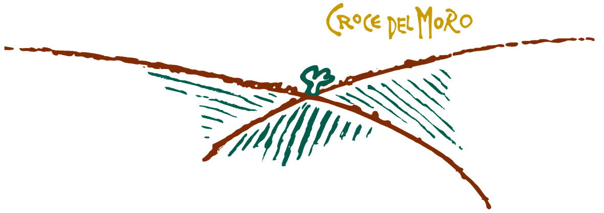 Rosso Piceno Il Moro 2008