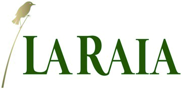 Gavi Riserva Docg 2010