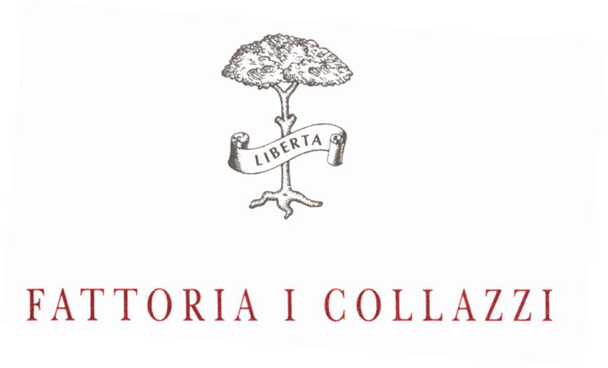 Collazzi