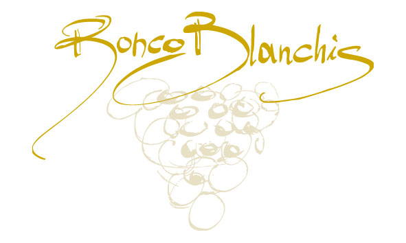 Ronco Blanchis