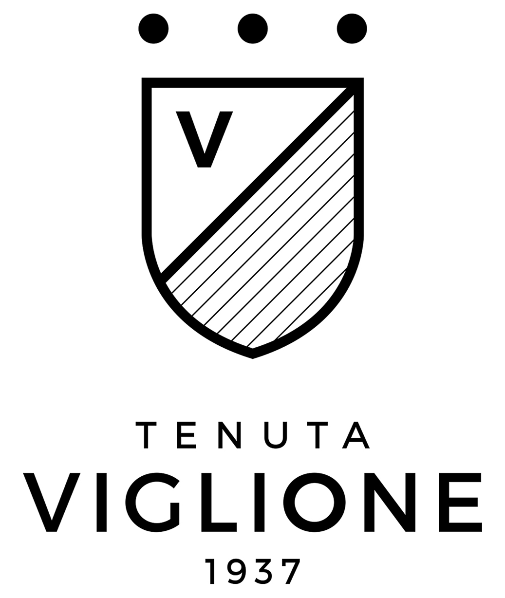Pri-mit-ivo 2013