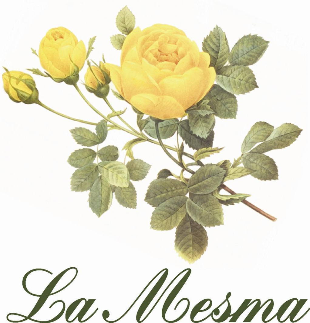 La Mesma Gavi Metodo Classico 2009