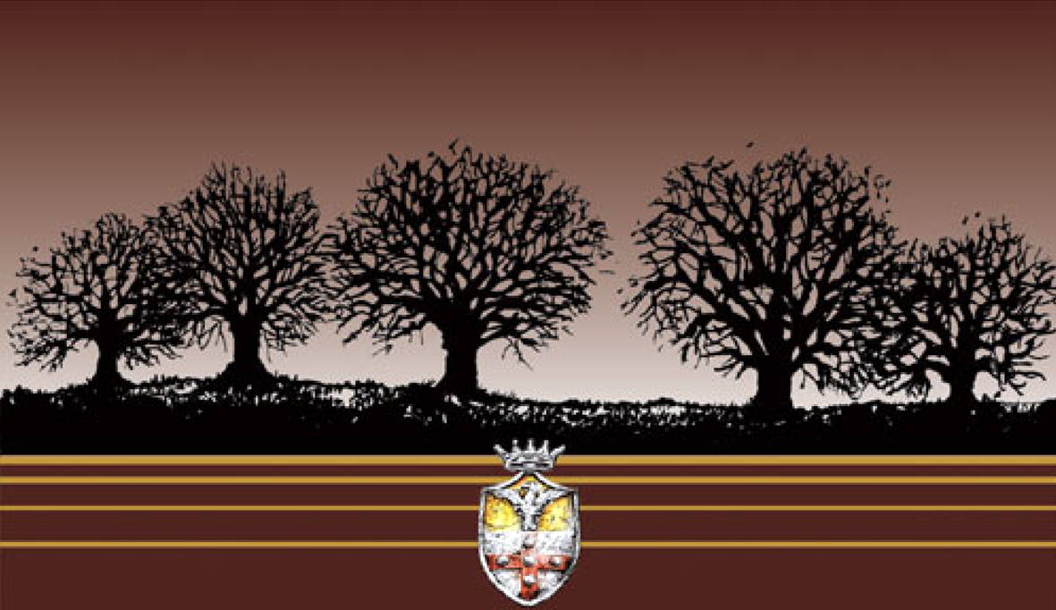 Chianti Classico 2007